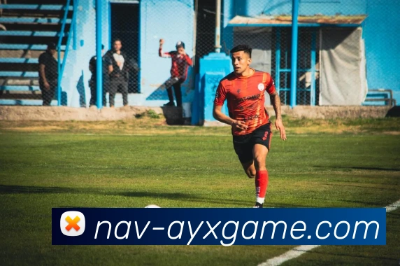 爱游戏平台生态图